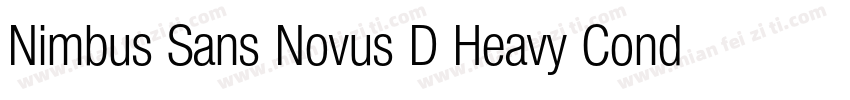 Nimbus Sans Novus D Heavy Conde Reg字体转换